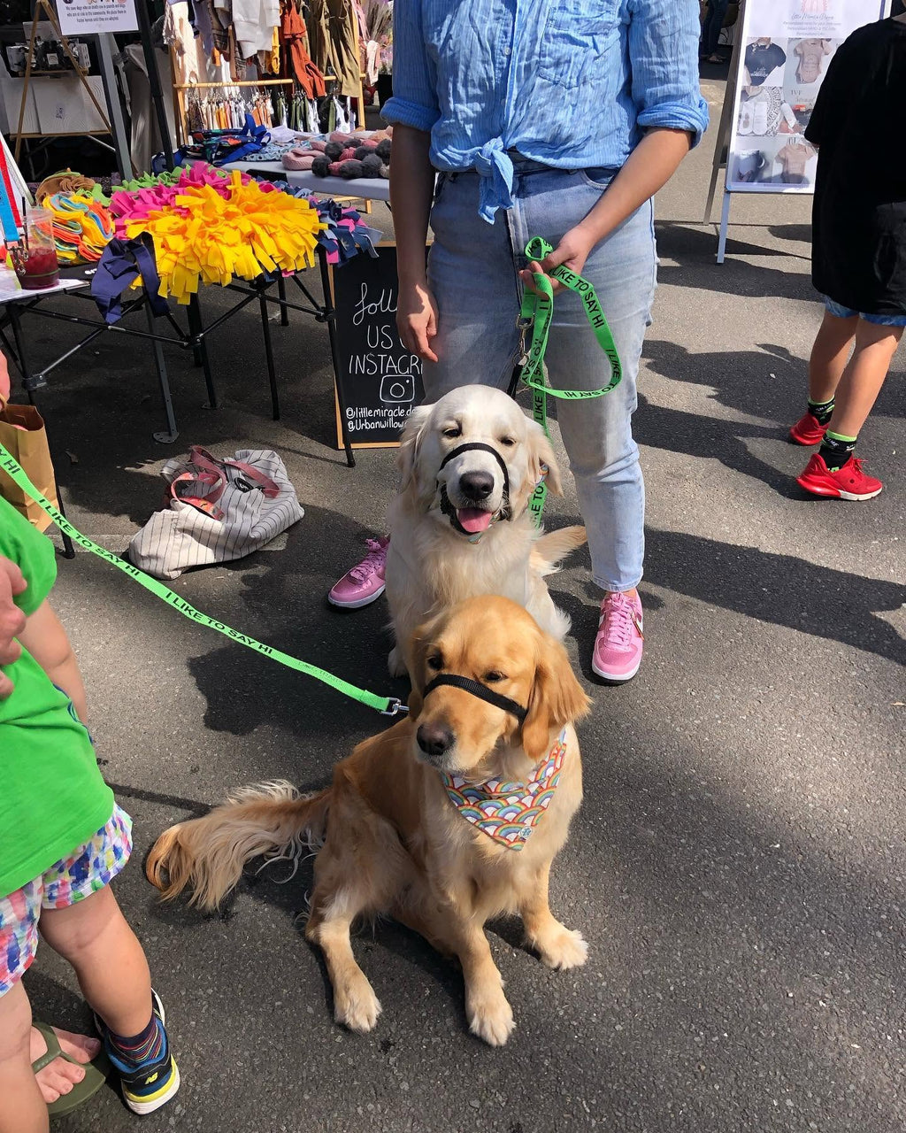 Dog Awareness Lead