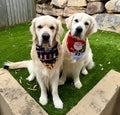 Christmas Dog Bandana – Santa & Reindeer