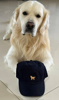 Navy washed chino twill cap with golden retriever embroidery, modelled by a golden retriever