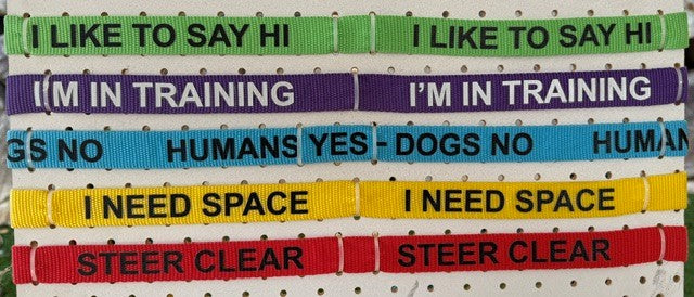 Dog Awareness Lead