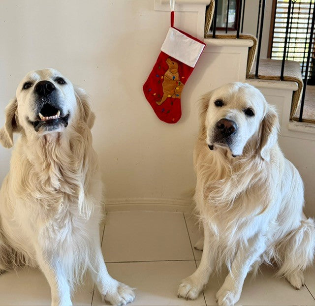 LED Golden Retriever Christmas Stocking – Red