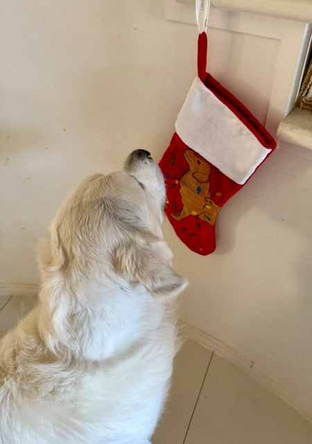 LED Golden Retriever Christmas Stocking – Red