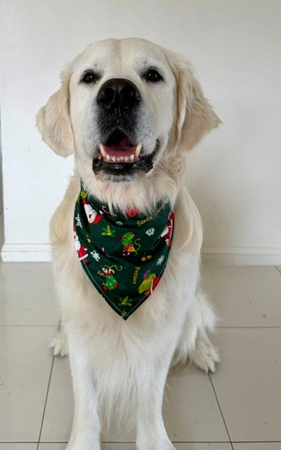 Christmas Dog Bandana – Santa & Reindeer